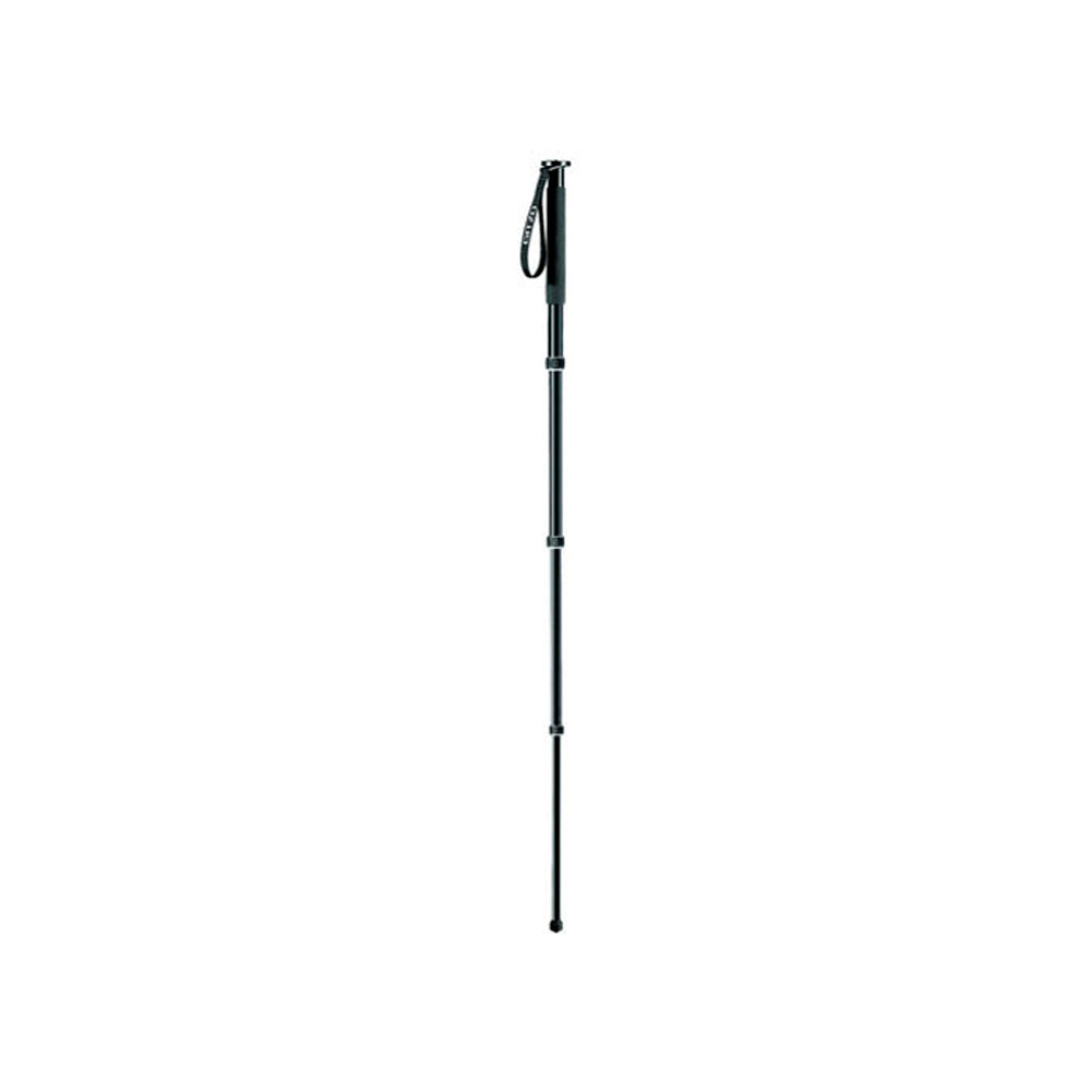 Monopod de Aluminio Gitzo GM2341