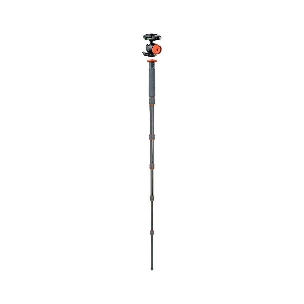 Kit de Monopod Gitzo GT3860C con Cabezal de Bola GH1781QR
