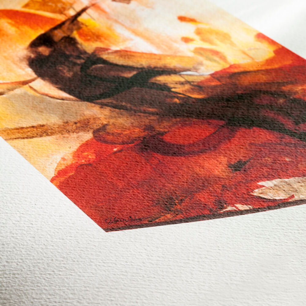 Papel Fotográfico Hahnemühle Photo Media Matt Fibre 200 A3+, 25 Hojas