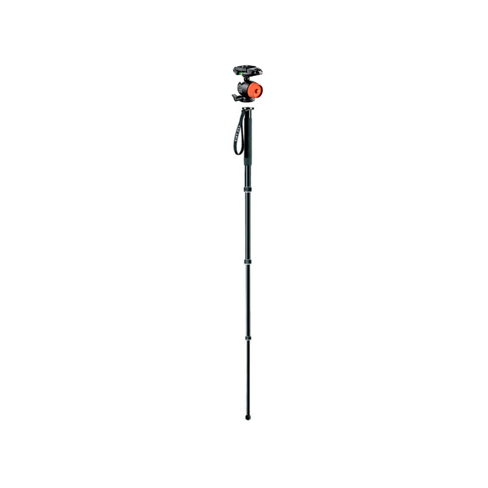 Kit de Monopod Gitzo GT2341 con Cabezal de Bola GH1781QR