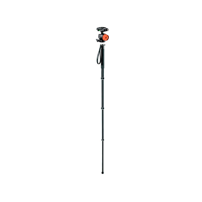 Kit de Monopod Gitzo GT2341 con Cabezal de Bola GH1781QR