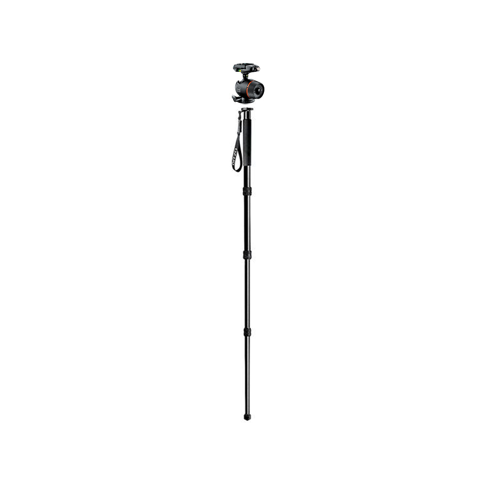 Kit de Monopod Gitzo GT3340L con Cabezal de Bola GH2781QR