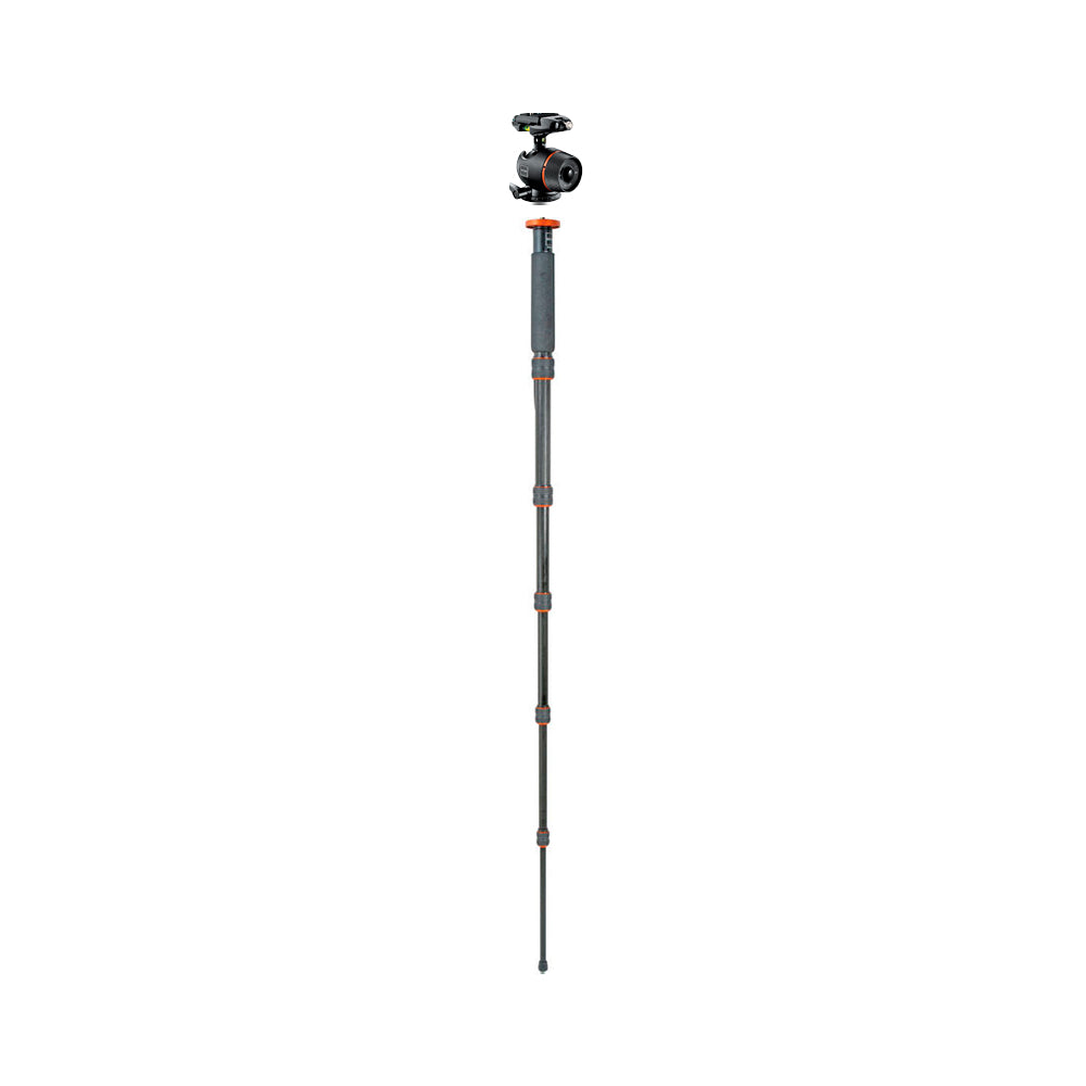 Kit de Monopod Gitzo GT3860C con Cabezal de Bola GH2781QR
